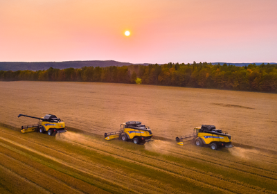 Eastern Grains