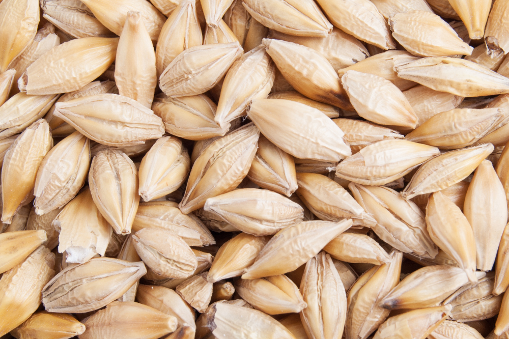 Eastern Grains