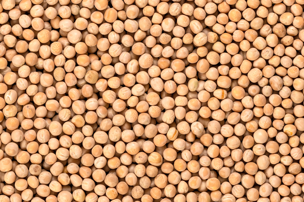 Eastern Grains