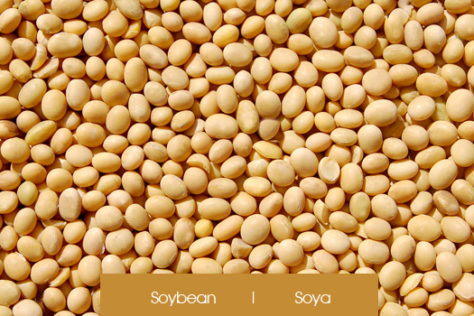 Soya