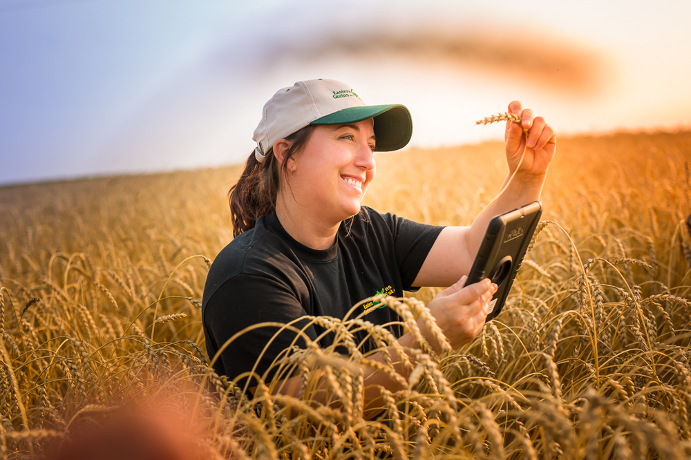 Eastern Grains