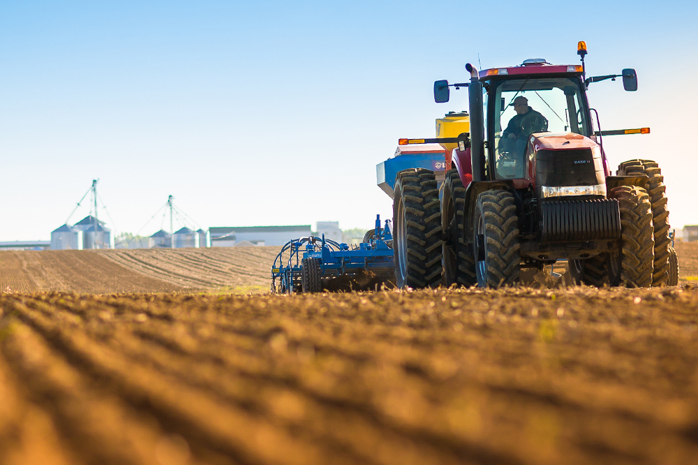 Eastern Grains