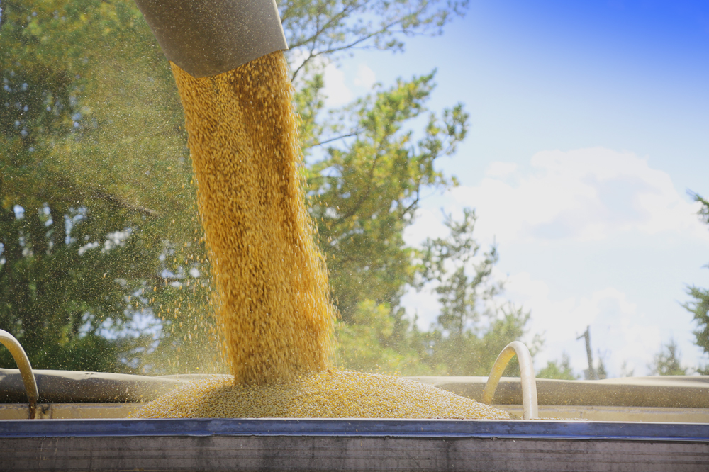 Eastern Grains