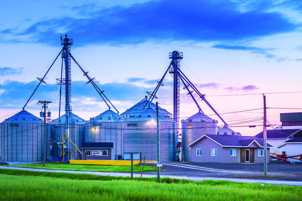Eastern Grains
