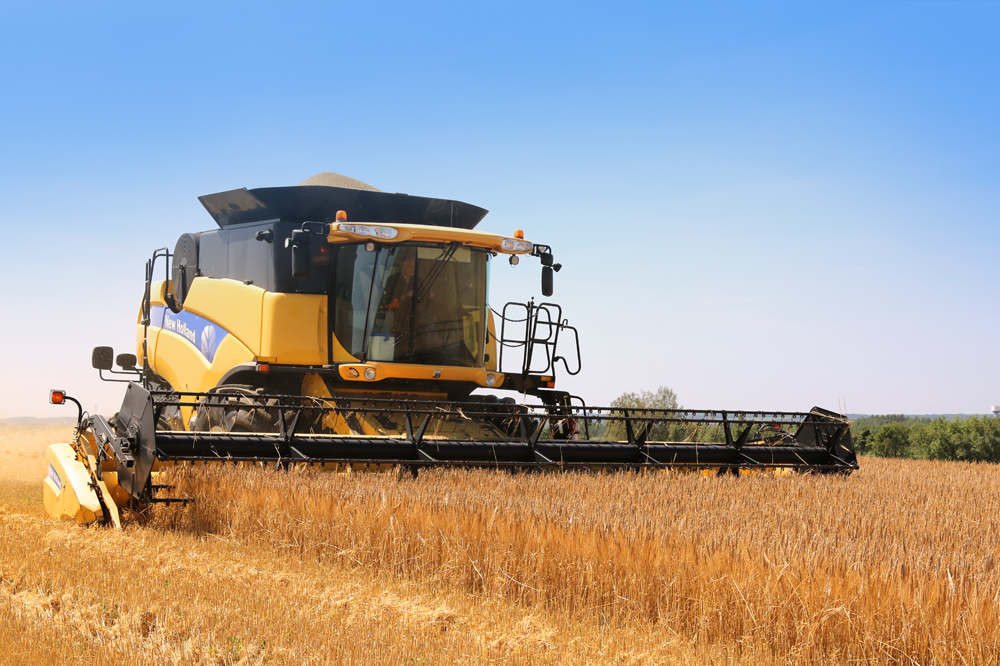 Eastern Grains