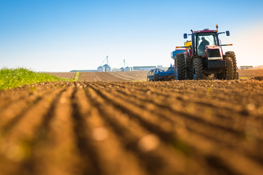 Eastern Grains Inc.
