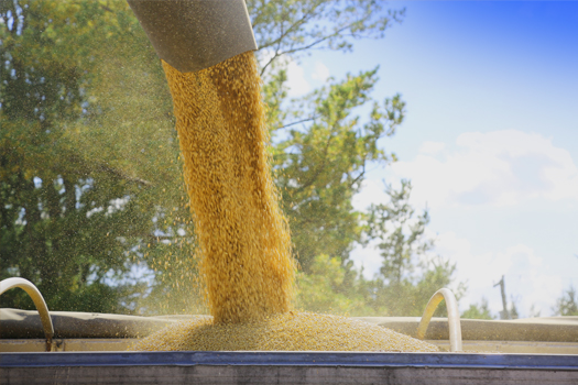 Eastern Grains Inc.