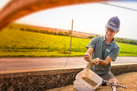 Eastern Grains Inc.