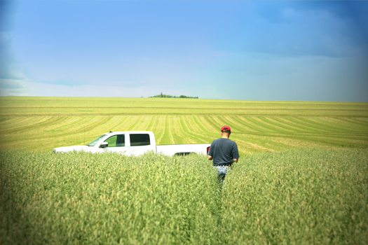 Eastern Grains Inc.