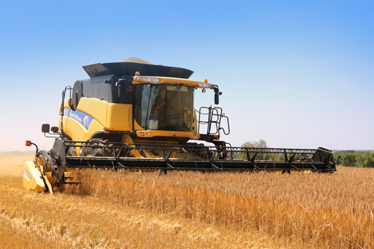 Eastern Grains Inc.