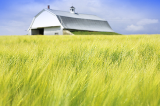 Eastern Grains Inc.